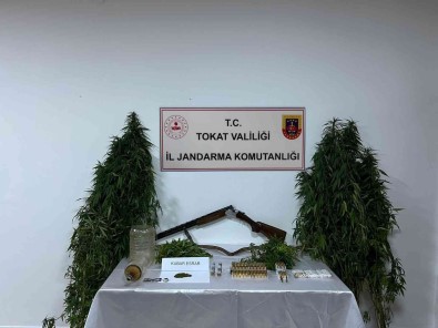 Tokat'ta Kenevir Operasyonu