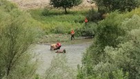 Erzincan'da Nehirdeki Çamura Batan Iki Inegi AFAD Kurtardi
