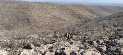 Van'da 622 Personelin Katilimiyla Eren Abluka-35 Operasyonu Baslatildi