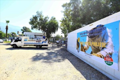 Bal Petekleri Eksi 30 Derecede Soklaniyor