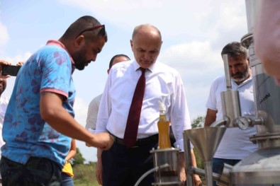 Tibbi Aromatik Bitkiler Ekonomiye Kazandiriliyor