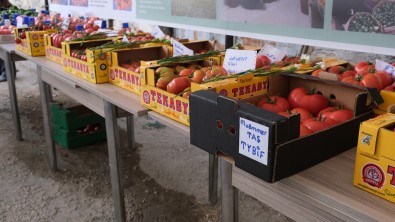 Bu Köyün Göç Problemi Yok