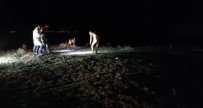 Muradiye'de Çoban Arazide Ölü Bulundu, 3 Kisi Gözaltina Alindi