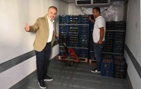 Incir Üreticisine Can Suyu