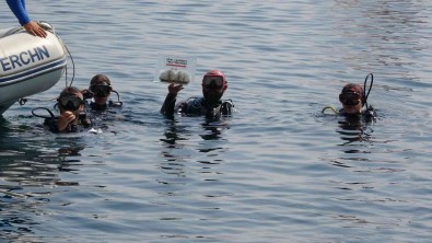 Türk Kizilayi'ndan Halep Vapuruna Ani Dalisi