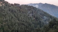 Kahramanmaraş'taki orman yangını kısmen kontrol altına alındı