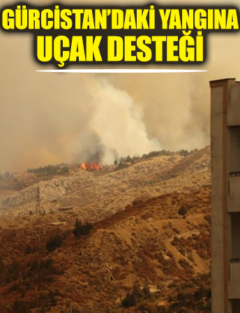 Gürcistan'daki yangına Türkiye'den uçak desteği