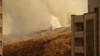 Gürcistan'daki yangına Türkiye'den uçak desteği