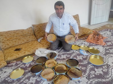 Agaç Kovuklarindan Çikardiklari Balin Kilosunu Bin 500 Liradan Satiyorlar