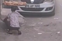 Simit Satan Çocugun Yavru Kedi Ve Köpege Merhameti Yürekleri Isitti