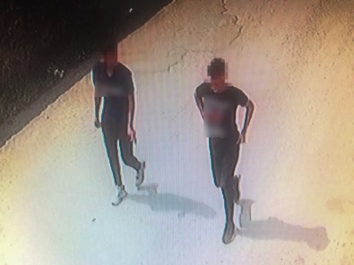 Findik Fareleri 53 Saatlik Kamera Incelemesi Sonrasinda Yakayi Ele Verdi