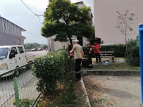 Gürsu'da Parklar Yesilin Huzuruyla Taçlaniyor