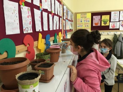 TEMA Vakfi Sinop'ta 1524 Çocuga Ulasti