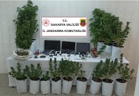 Uyusturucu Tacirlerine Jandarma Operasyonu Açiklamasi 1 Gözalti