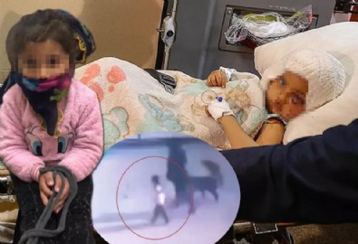 Asiye bebeğe annesi tasma takıp ellerini bağlamış! Pitbull saldırısına uğradığı anlar Türkiye'yi kahretmişti