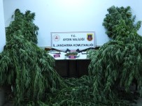 Aydin'da 5 Sahis Uyusturucudan Tutuklandi