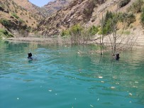 Kayip Hemsireden 54 Gündür Haber Alinamiyor