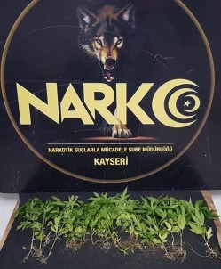 Kayseri'de 1 Ayda 143 Kisiye Uyusturucudan Islem Yapildi