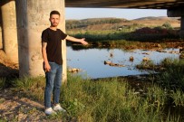 Toplu Balik Ölümleri Görenleri Tedirgin Ediyor