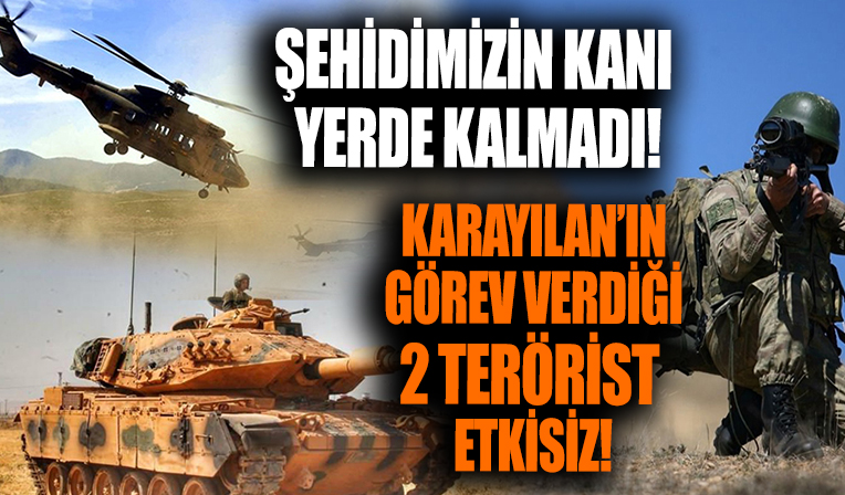 Bakan Soylu: Karayılan’ın görev verdiği 2 terörist etkisiz!