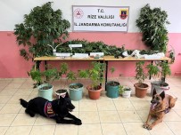 Jandarmadan Uyusturucu Operasyonu Açiklamasi 3 Gözalti