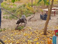 Kurallara Uymayanlara 513 Bin TL Ceza Uygulandi