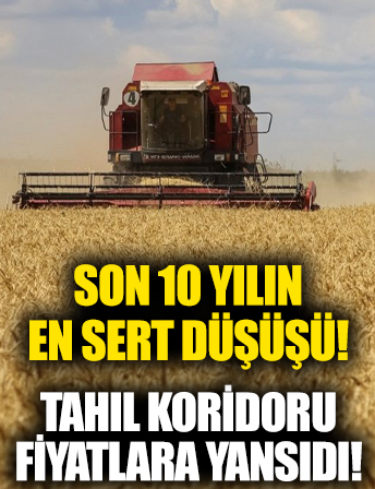 Tahıl koridoru sonrası gıda fiyatlarında sevindiren haber: Son 10 yılın en sert düşüşü yaşandı
