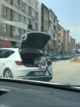 Bagajinda Yolcu Tasiyan Otomobile Bin 665 TL Ceza Yazildi
