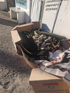 Meksika'da Yasli Kadin Karton Kutu Içerisinde Sokakta Ölüme Terk Edildi