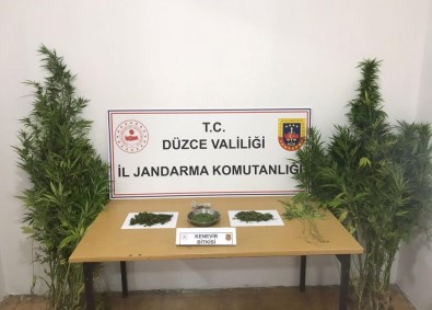 Düzce'de 51 Süpheli Yakalandi