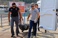 Denizde Bogulan Emekli Ögretmene, Gözü Yasli Kardeslerden Son Öpücük