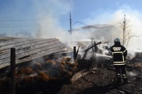 Bebek Gibi Büyüttügü 40 Koyunu Telef Olan Çiftçi Gözyaslarina Boguldu