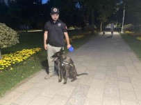 Kadiköy'de Park Ve Bahçelerde Narkotik Köpekli Denetim