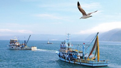 Ağlarını Mavi Vatan için seriyorlar: Balıkçılar Ege'de Yunan'a Karadeniz'de mayına set örüyorlar