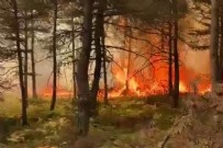 Tokat'ta korkutan orman yangını