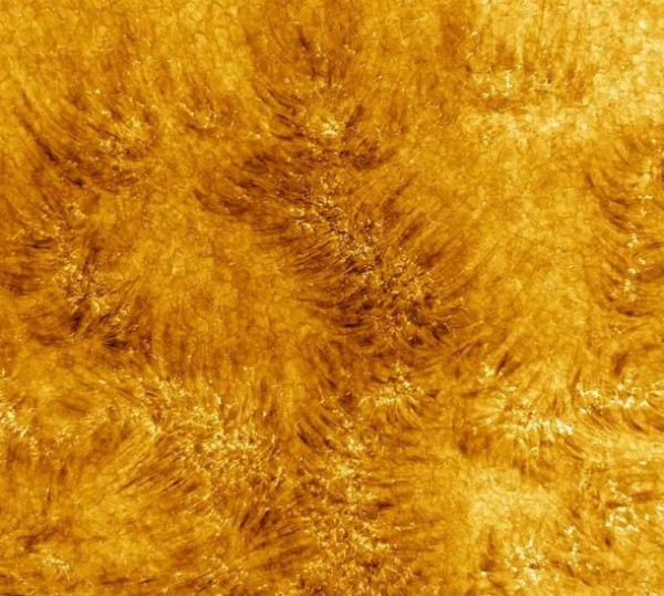 Dünyanın en büyüğü tarafından kaydedildi