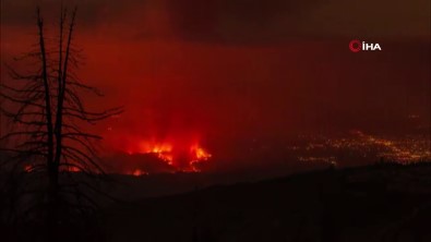 California'daki Orman Yangininda 18 Bin 853 Hektarlik Alan Kül Oldu