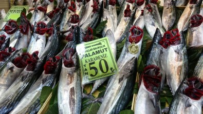 Çanakkale'de Palamudun Tanesi 50 Liraya Düstü