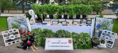 Ev Terasi Degil Uyusturucu Serasi