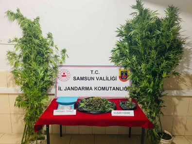 Jandarmadan Uyusturucu Operasyonu Açiklamasi 1 Gözalti