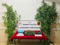 Jandarmadan Uyusturucu Operasyonu Açiklamasi 1 Gözalti