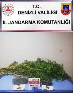 Jandarmadan Zehir Tacirine Darbe