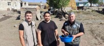 Arpaçay'da Bulunan Kerkenez Kusu Tedavi Altina Alindi