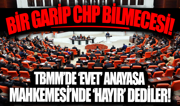 E-ticaret kanunun iptali için Anayasa Mahkemesi'ne başvuran CHP'nin TBMM'de yapılan oylamada 'kabul' oyu kullandığı ortaya çıktı