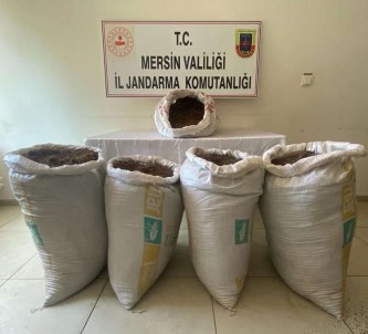 Mersin'de 350 kilogram kaçak tütün ele geçirildi