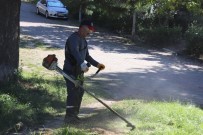 Bahçesehir'de Sonbahar Temizligi