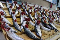 Balik Bollasinca Fiyatlar 50 TL'ye Geriledi