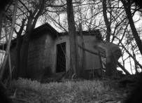 Foto Kapanlara Yaban Hayati Degil, Hirsizlar Yakalandi