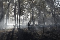 Fransa'da 3 Bin 600 Hektar Ormanlik Alan Küle Döndü