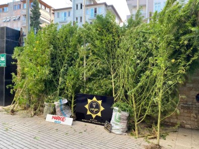 Hatay'da Uyusturucu Operasyonu